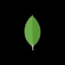 Mongodb